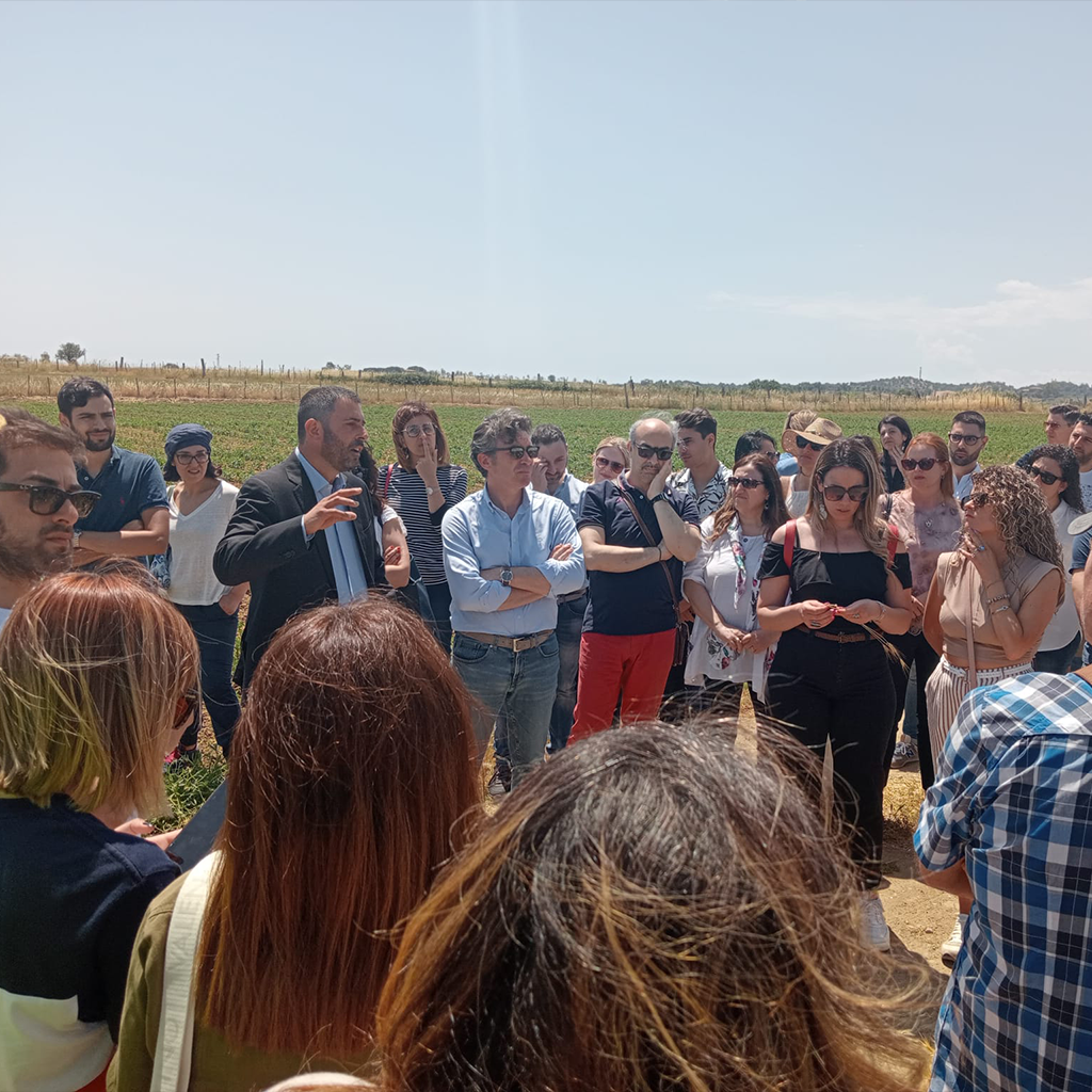 evento cantine in vendemmia